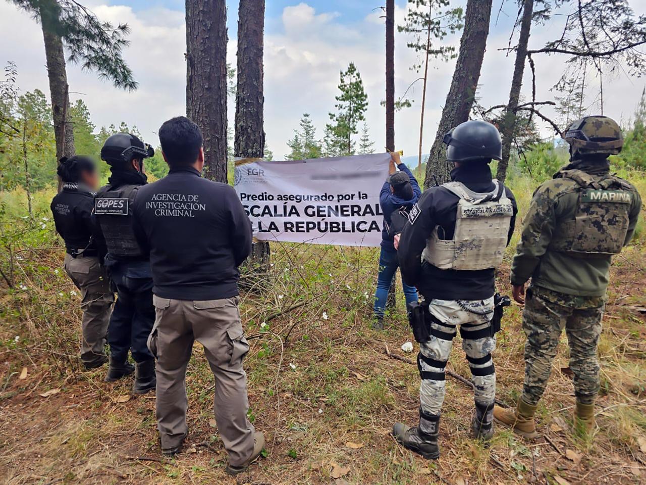 PFM cumplimenta orden de cateo en bosque en Tlaxco